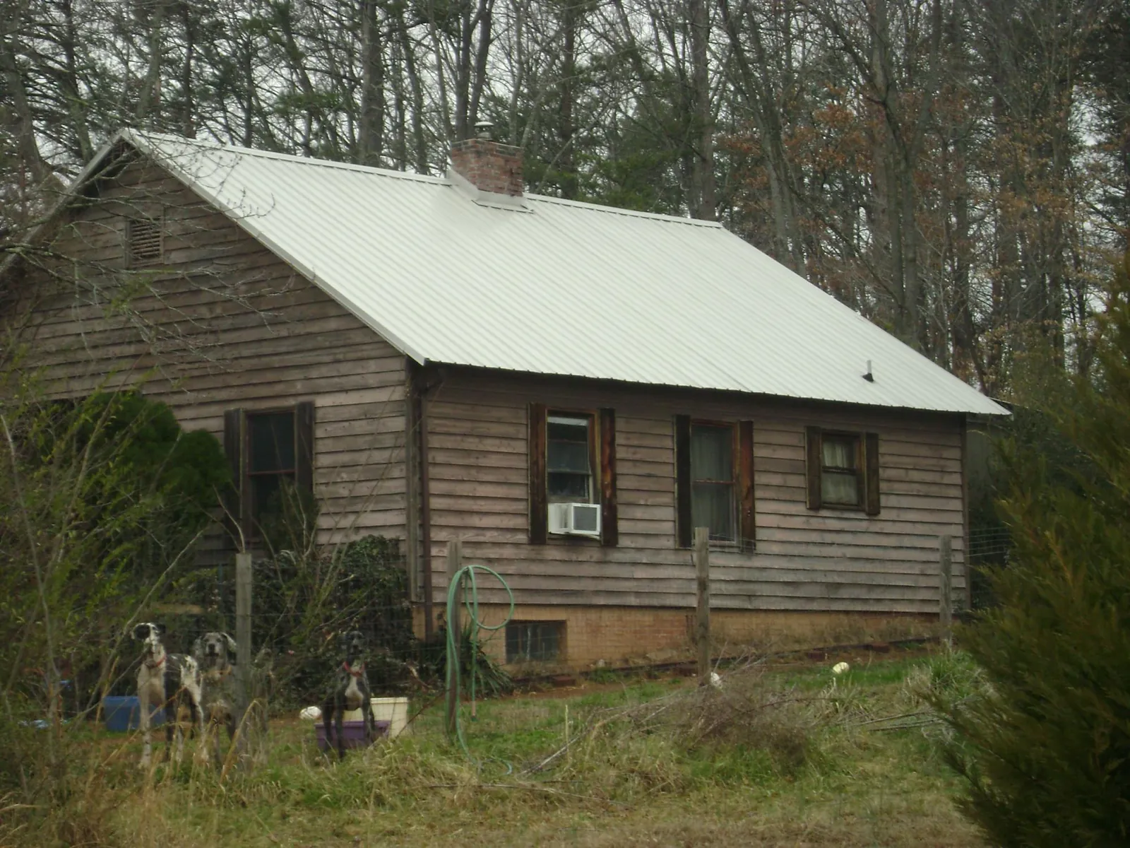 White metal roof on an old wood sided farmhouse, from a Asphalt Shingle Roof Repair job in Merrill